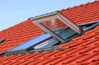 Rowen roof window